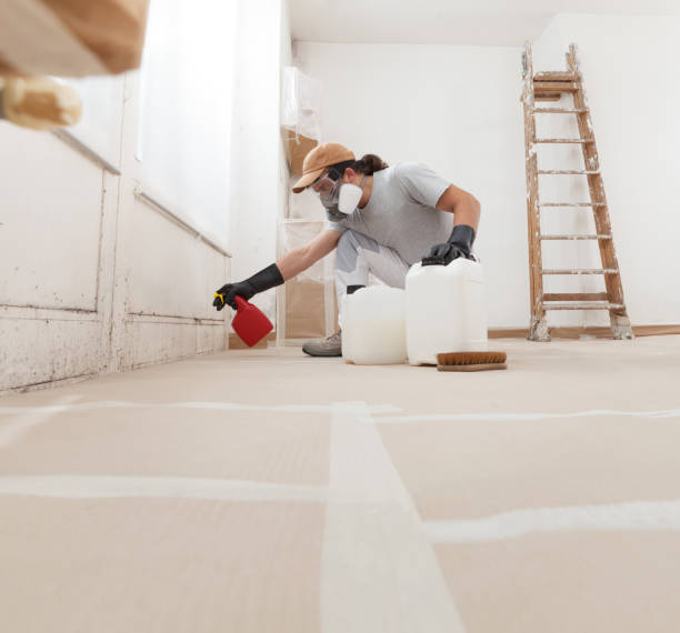 Best Mold Odor Removal Services  in Nisswa, MN